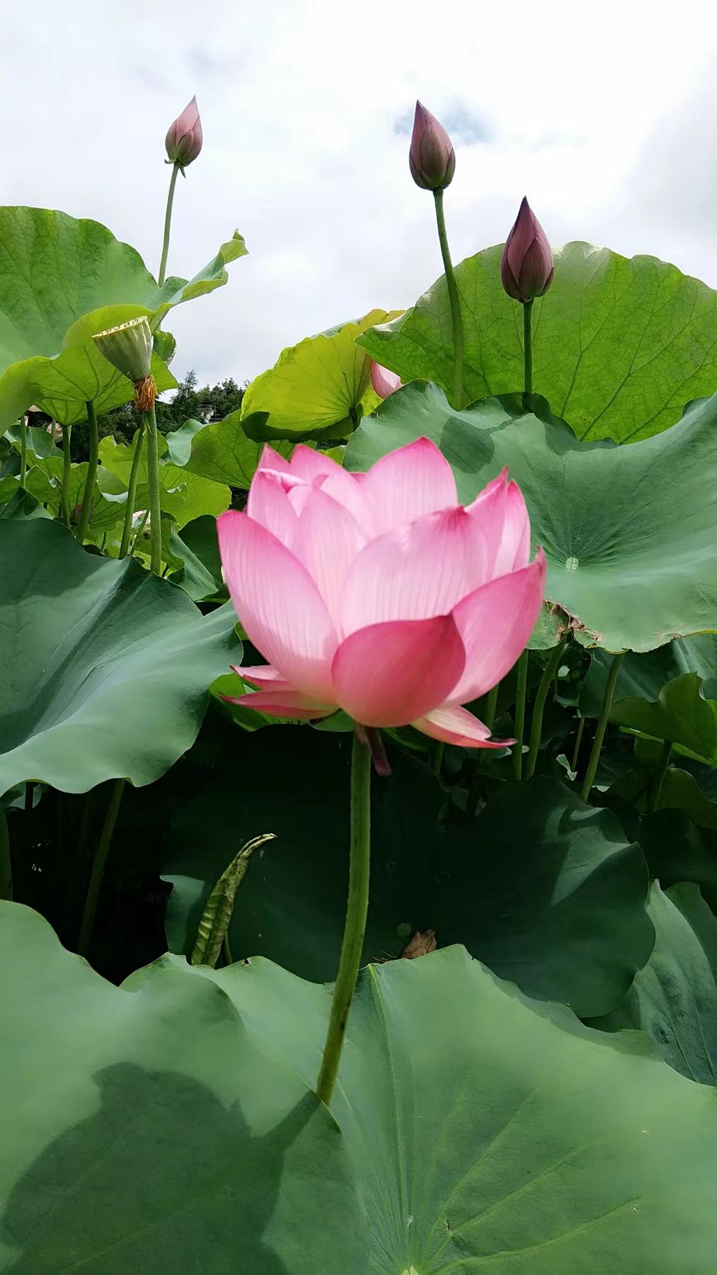 http://www.coolstreaming.com.cn/hsdt/221.html